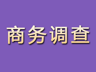 花都商务调查